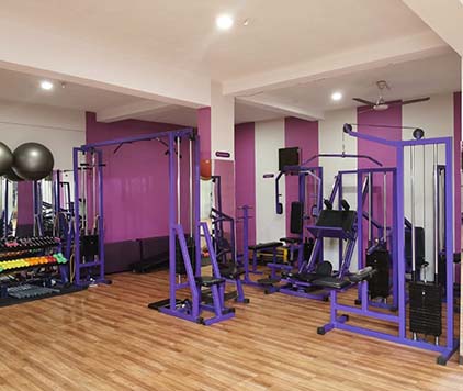 arkfitness.co.in - ladies gym and zumba in kannur